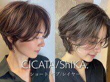 シカタ シーカ 鎌倉(CICATA/ShIKA.)