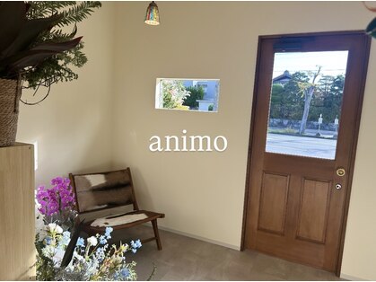 アニモ(animo)の写真
