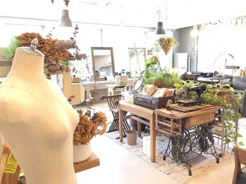 Fil HAIR and SPA　【フィル　ヘア　アンド　スパ】