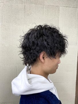 アウラ 高岡店(AULA) ウルフツイスパ