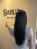 ダリア(Dahlia)&nbsp;秋のおすすめインピタリトリートメント