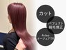 カット+パフェクト縮毛矯正+4stepオージュアTR【¥19580→¥17050】