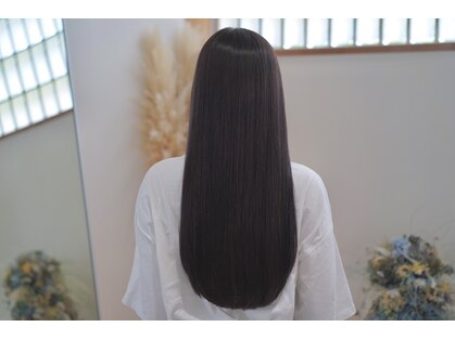 スイ(sui)の写真