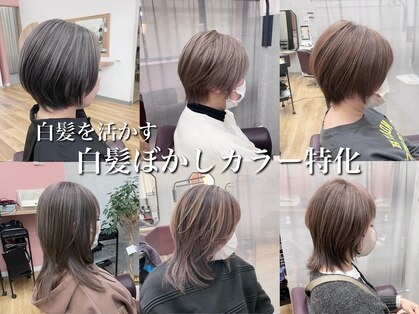 キセイ イオンモール新利府北館店(KISEI)の写真