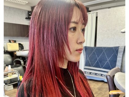 サーカス(CiRCUS)の写真