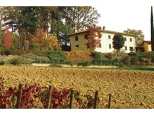 シグラ エ アログドットワイ(SIGRA et alog.y)の雰囲気（きっかけは宝塚歌劇団の方々の悩みから生まれたゴッホカラー）