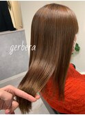 gerbera style