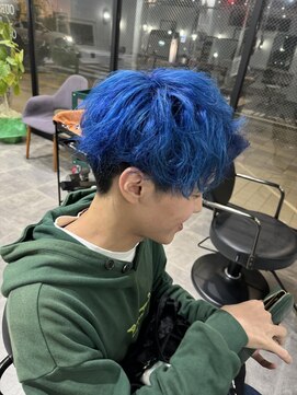 ホリー(HOLLY) メンズブルー