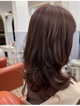 カザック(kazak) ショコラカラー