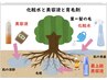 【美しい髪は健康な頭皮から】頭皮の予防美容ヘッドスパ ￥8200→￥7500