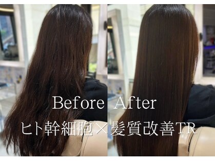 ダリア 横浜(DALIA)の写真