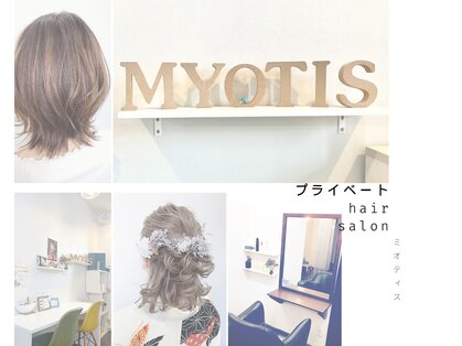 ミオティス(Myotis)の写真