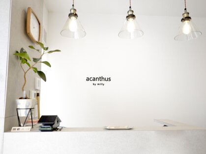 アカンサス バイ ミリー 高槻店(acanthus by milly)の写真