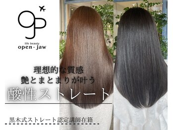 Open-Jaw 【オープンジョー】