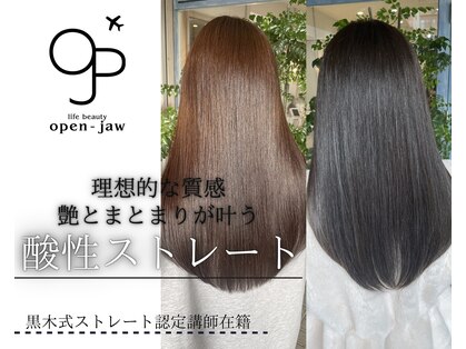 オープンジョー(Open Jaw)の写真