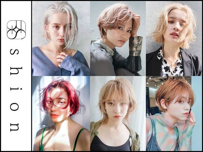 シオン(shion)の写真