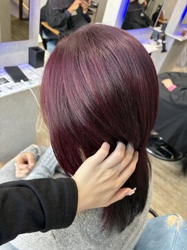 ヘアーディア(Hair...DiA) ワインレッド