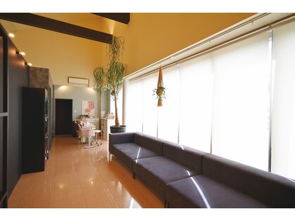 ニュースタイルアイラ (NewStyle aila)の写真