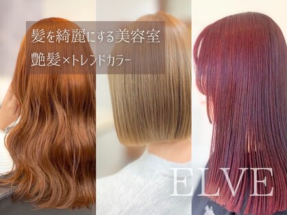 エルベ  茨大前店(elve)の写真