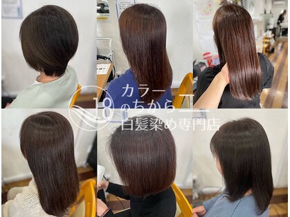 カラーのちから 南区泉楽通店の写真
