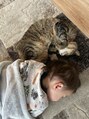 レイリー(LAiLy)&nbsp;もう1匹います！おばあちゃん猫◎