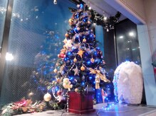 ツリーは、夜が綺麗です