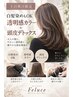 新規【土日祝日限定】白髪染めもOK♪ カット+透明感カラー+頭皮デトックス
