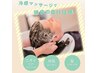 ◆夏限定◆爽快ミントスパ！