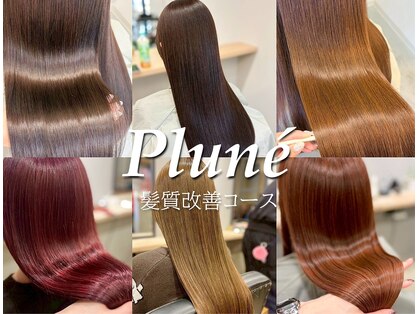 プルネ 藤枝(Plune)の写真