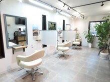 シバヘアー(shiba hair)の雰囲気(セット面)