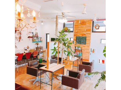 ファーティスタ(fartista)の写真