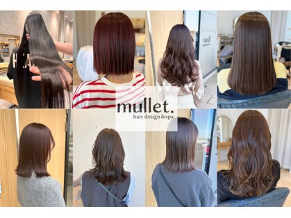 マレット 南蔵王(mullet.)の写真