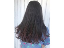 ヘアー シェルター(HAIR SHELTER)