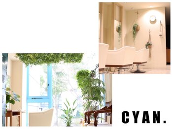 CYAN.栄店　パーマ／縮毛矯正／髪質改善