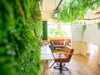 レガーロ(regalo)の写真