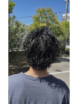 ヴェルゴ(vellgo) サーフカール