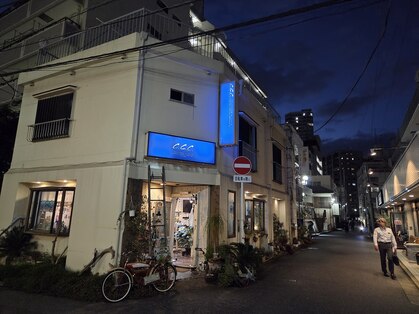 ccc カリフォルニアヘアー(ccc-california hair)の写真
