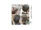 エモーション emotion hairの写真