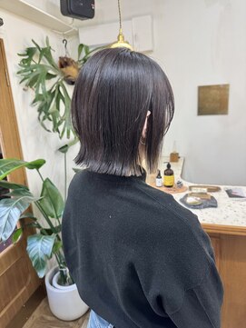 シエン 恵比寿(CIEN) ホワイトグレージュ/ミニウルフ/チェリーブラウン/丸型/恵比寿k6