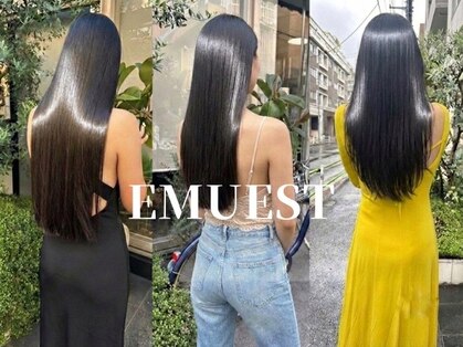 エミュスト(Emuest)の写真