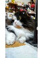 ステラ 坂戸にっさい店(STELLA)&nbsp;ゆきでーす