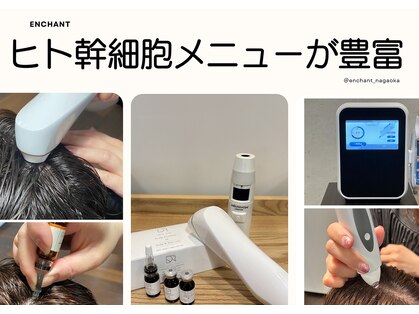 アンシャンテ(ENCHANT)の写真