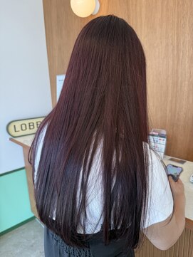 シーソー(SEE-SAW) ダブルカラー|10代20代30代金沢