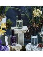 ウール(WOOL)&nbsp;今一番おすすめのヘアオイルは、ティントオイルです