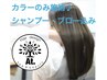 【カラーのみ】カラー＋シャンプー・ブローset【カット無し　施術約１時間】