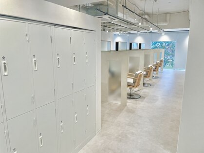 ムー(muu)の写真