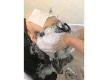 カミイロモノコト