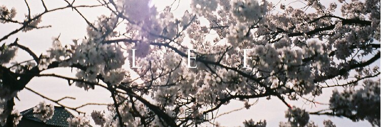 レフ(LEF)のサロンヘッダー