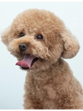 ピリナ(PILINA) Tomoko