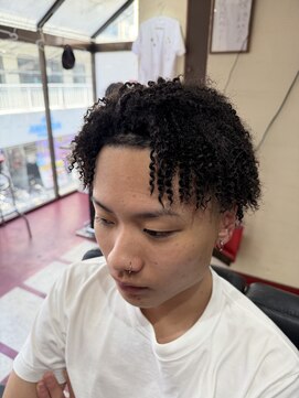 ナチュラルピー バーバー デルタ(Natural.P berbar DELTA) Uncombed アフロ